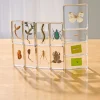 Excellerations® Acrylic Garden Friends, Butterfly and Plant Life Cycle Specimens - Set of 12