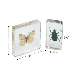Excellerations® Acrylic Garden Friends, Butterfly and Plant Life Cycle Specimens - Set of 12