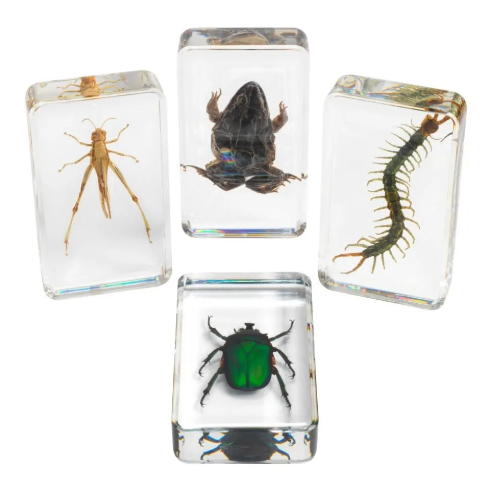 Excellerations® Acrylic Garden Friends Specimens - Set of 4