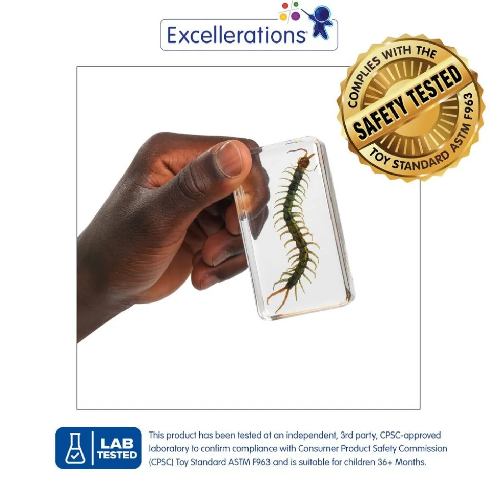 Excellerations® Acrylic Garden Friends Specimens - Set of 4