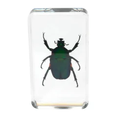 Excellerations® Acrylic Garden Friends Specimens - Set of 4