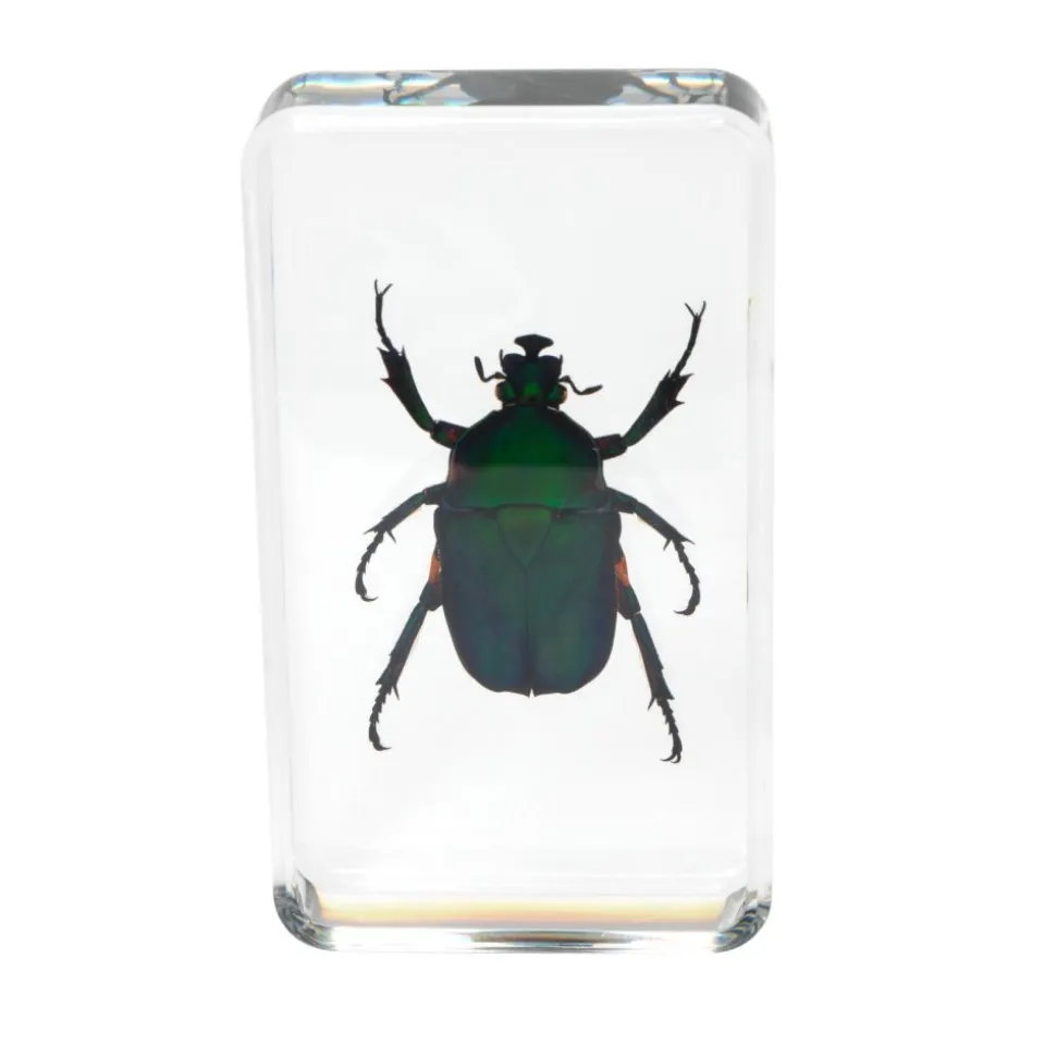 Excellerations® Acrylic Garden Friends Specimens - Set of 4