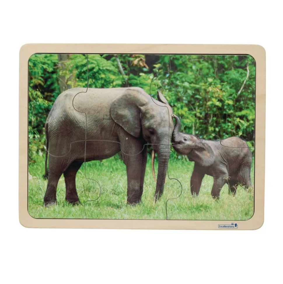 Excellerations® Animal Families Around the World Wooden Puzzles and Posters Set of 9