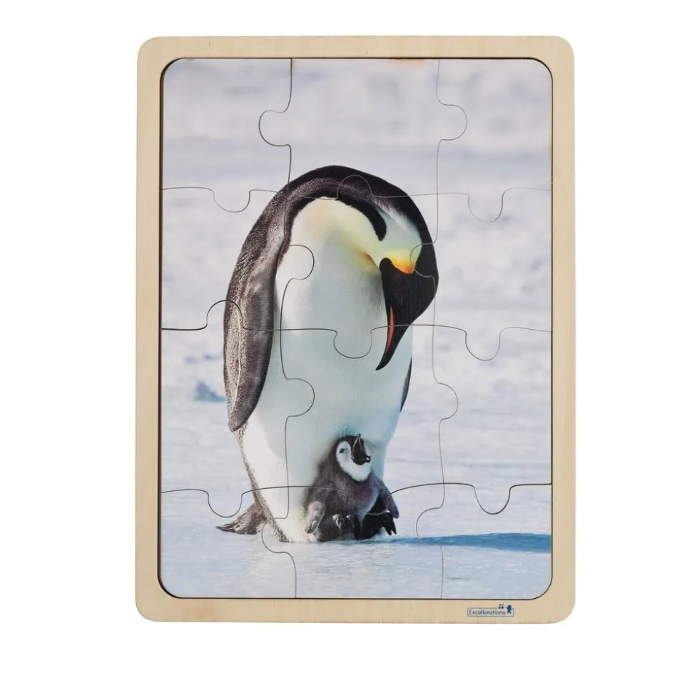 Excellerations® Animal Families Around the World Wooden Puzzles and Posters Set of 9