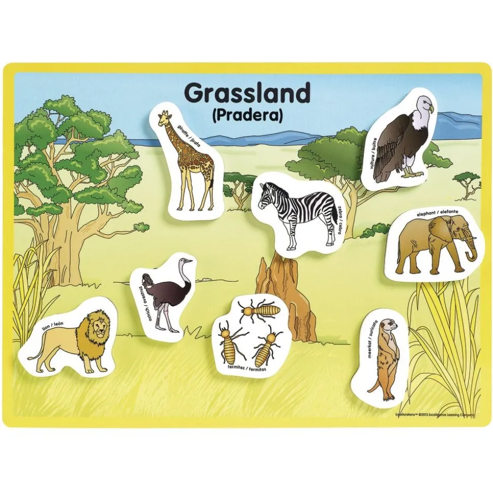 Excellerations® Animals in Their Habitats - 6 Boards, 48 Pieces