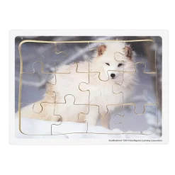 Excellerations® Animals in Their Biomes Puzzles - Set of 8