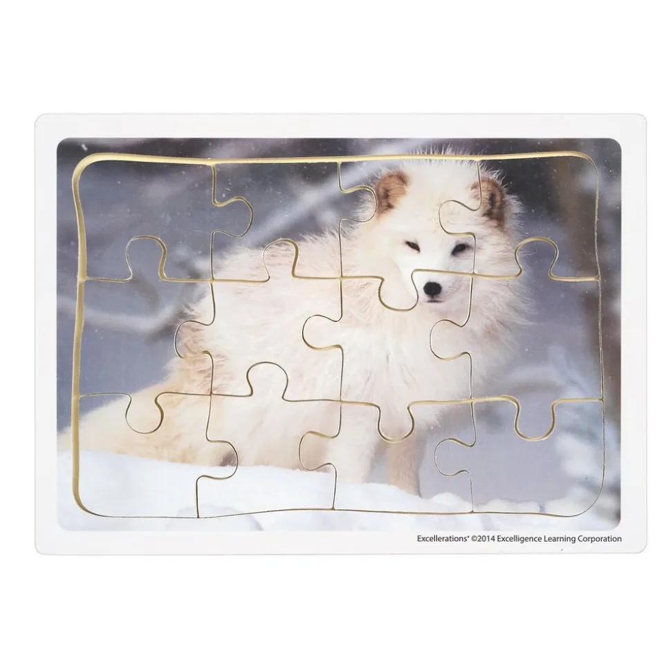 Excellerations® Animals in Their Biomes Puzzles - Set of 8