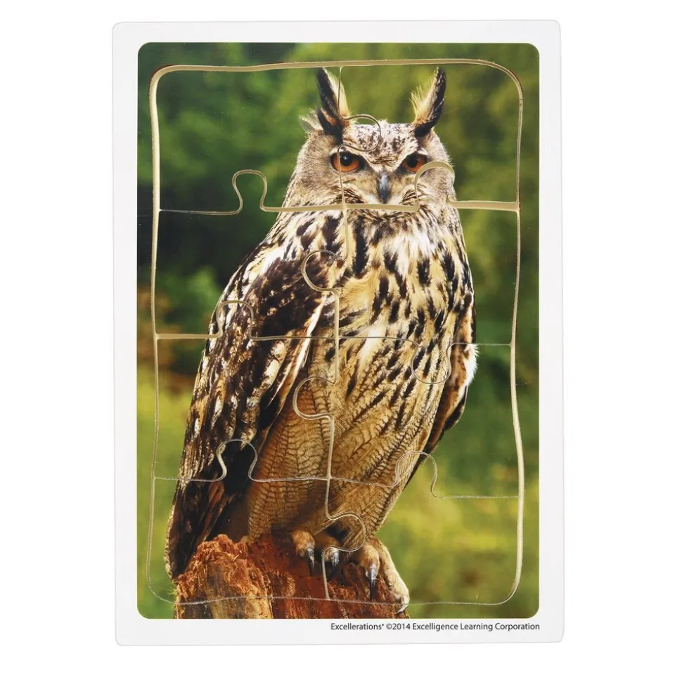 Excellerations® Animals in Their Biomes Puzzles - Set of 8