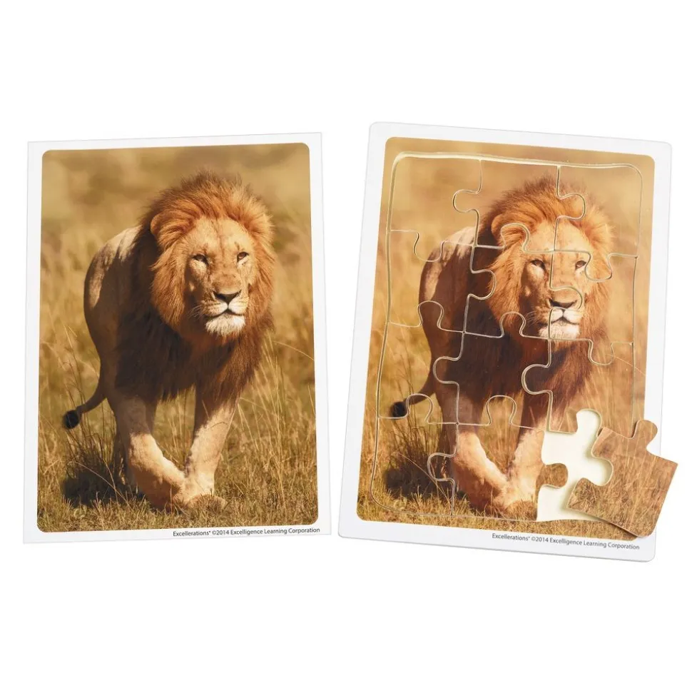 Excellerations® Animals in Their Biomes Puzzles - Set of 8