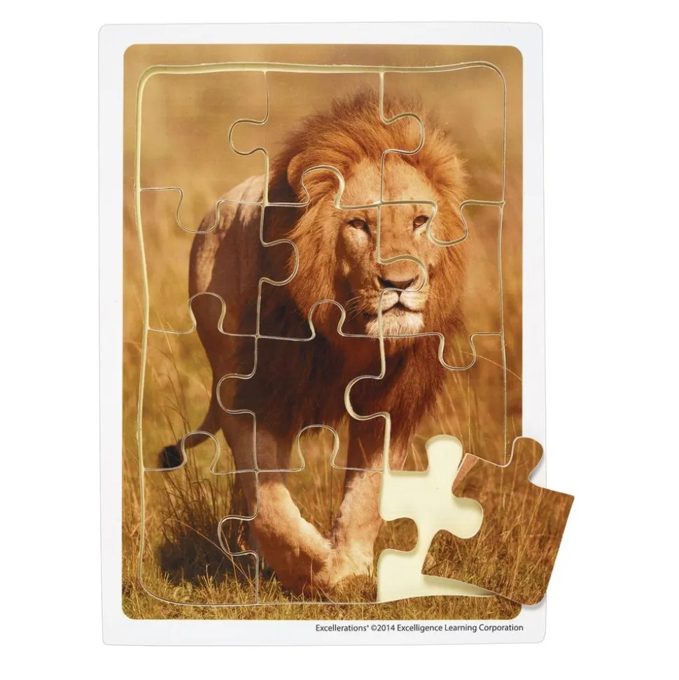 Excellerations® Animals in Their Biomes Puzzles - Set of 8