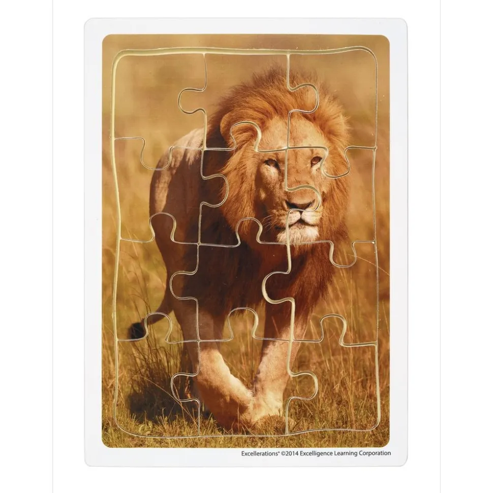 Excellerations® Animals in Their Biomes Puzzles - Set of 8
