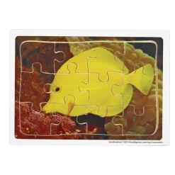 Excellerations® Animals in Their Biomes Puzzles - Set of 8