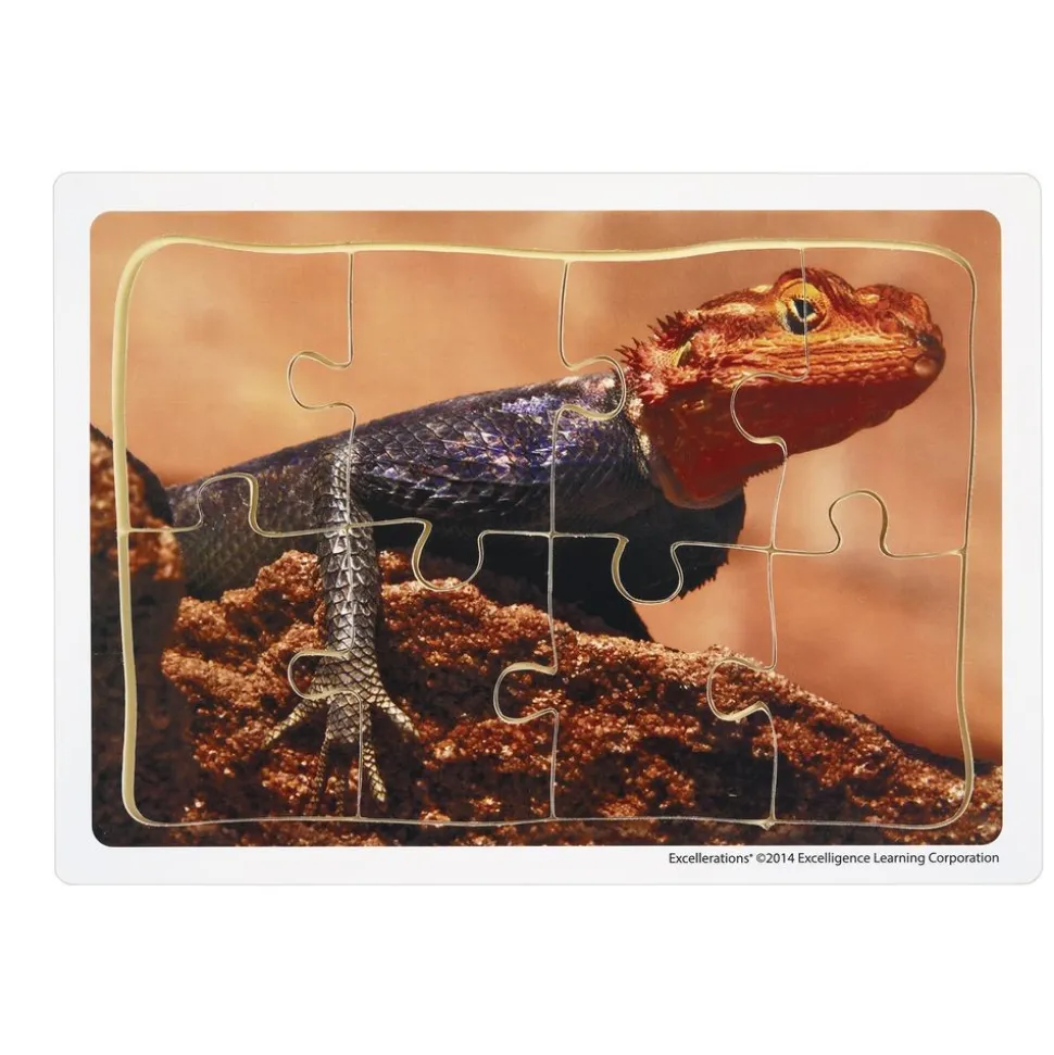 Excellerations® Animals in Their Biomes Puzzles - Set of 8
