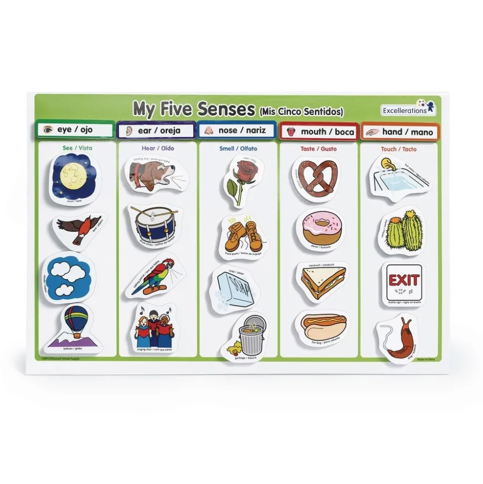 Excellerations® Bilingual My 5 Senses Magnet Activity Set