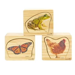 Excellerations® earlySTEM™ Life Cycles Nesting Puzzles - Set of 3