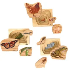 Excellerations® earlySTEM™ Life Cycles Nesting Puzzles - Set of 3