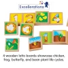 Excellerations® earlySTEM™ Life Cycles Sequencing Lotto