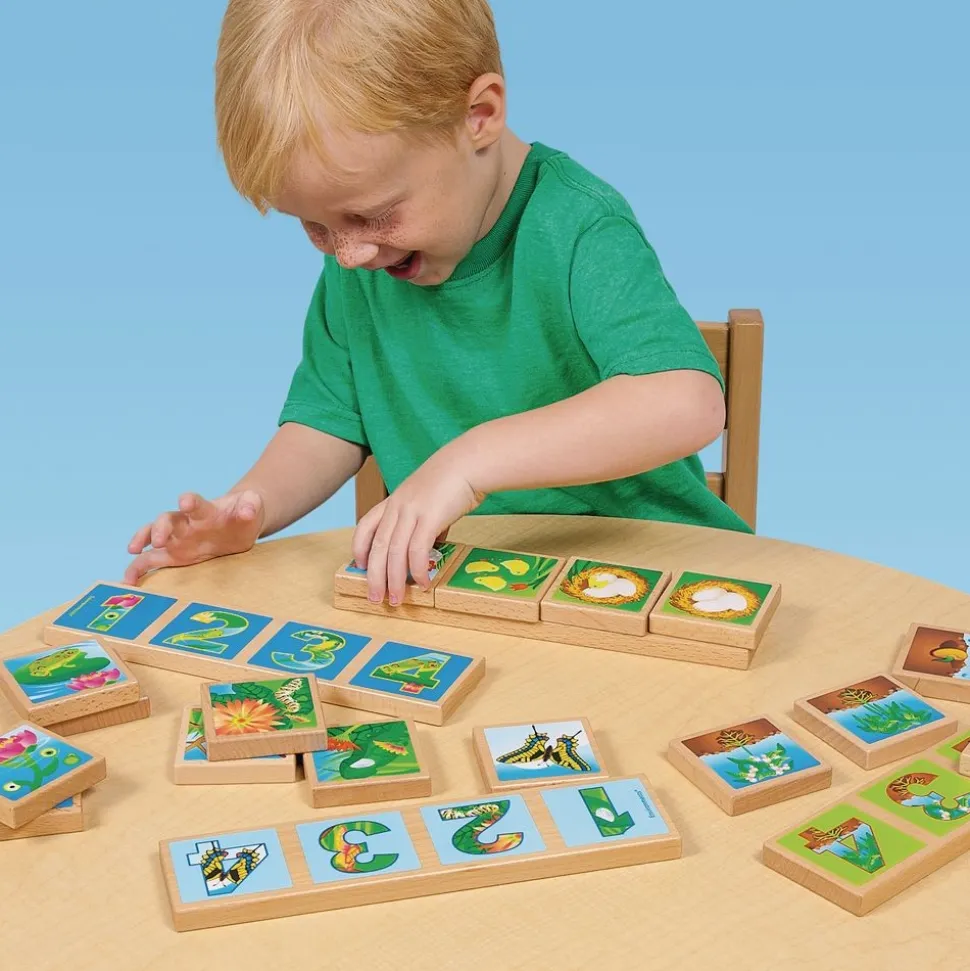Excellerations® earlySTEM™ Life Cycles Sequencing Lotto