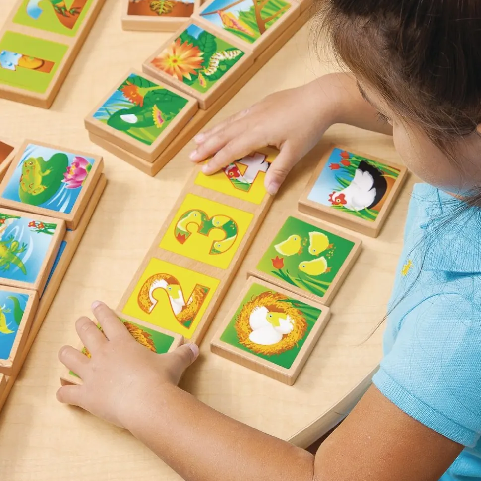 Excellerations® earlySTEM™ Life Cycles Sequencing Lotto