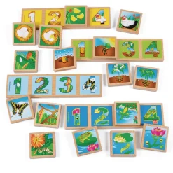 Excellerations® earlySTEM™ Life Cycles Sequencing Lotto