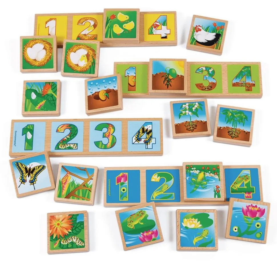 Excellerations® earlySTEM™ Life Cycles Sequencing Lotto