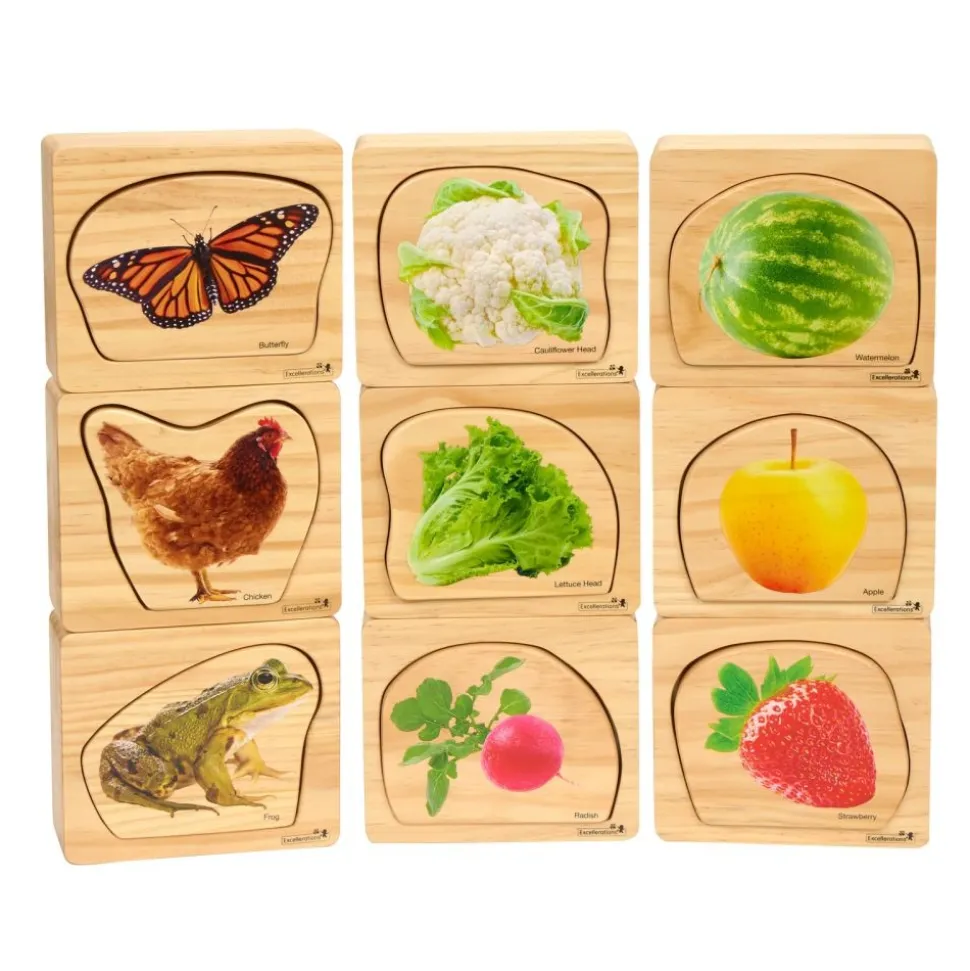 Excellerations® earlySTEM™ Life Cycle Nesting Puzzles, Fruit, Vegetable, and Animal