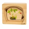 Excellerations® earlySTEM™ Life Cycle Nesting Puzzles - Fruit - Set of 3