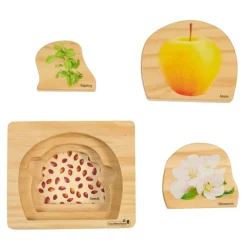 Excellerations® earlySTEM™ Life Cycle Nesting Puzzles - Fruit - Set of 3
