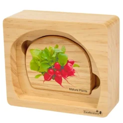 Excellerations® earlySTEM™ Life Cycle Nesting Puzzles - Vegetables - Set of 3