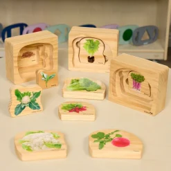 Excellerations® earlySTEM™ Life Cycle Nesting Puzzles - Vegetables - Set of 3