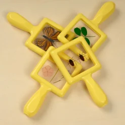 Excellerations® earlySTEM™ Specimen Viewers - Set of 4