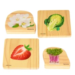 Excellerations® earlySTEM™ Tiles and Nesting Puzzles - Fruit & Vegetable