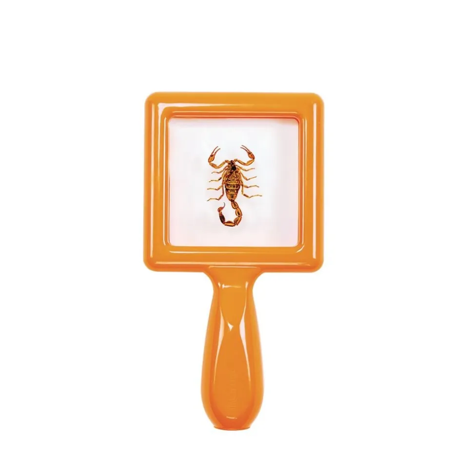 Excellerations® earlySTEM™ Toddler Specimen Viewers - Set of 16
