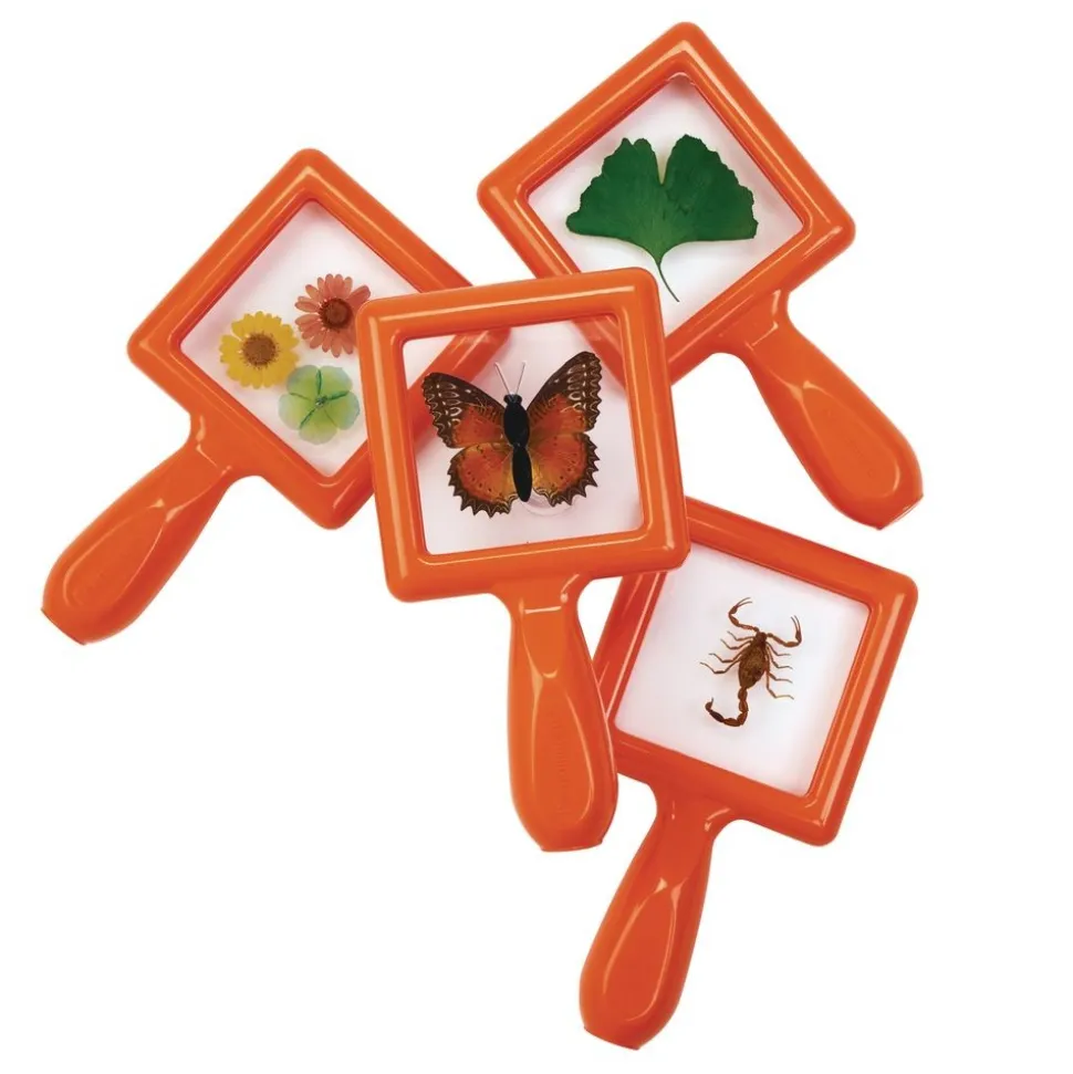 Excellerations® earlySTEM™ Toddler Specimen Viewers - Set of 4