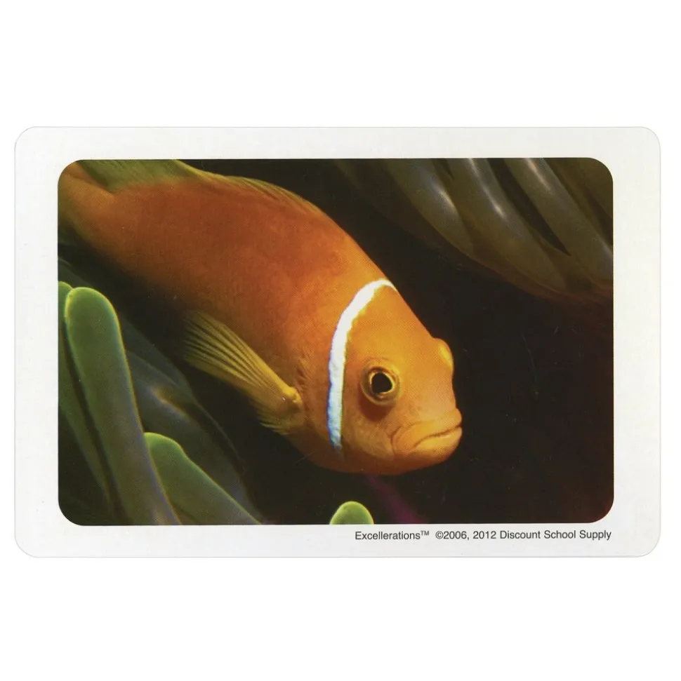 Excellerations® Familiar Object Language Card Set, Set of 168