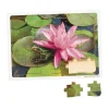 Excellerations® Garden Creature Puzzles - Set of 8