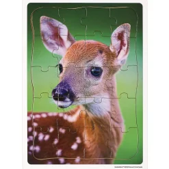 Excellerations® Garden Creature Puzzles - Set of 8