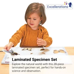 Excellerations® Laminated Specimen Set 28 Pieces