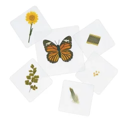 Excellerations® Laminated Specimen Set 28 Pieces