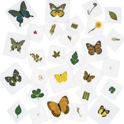 Excellerations® Laminated Specimen Set 28 Pieces