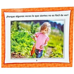 Excellerations® Life Skills Spanish Book Set - 28 books
