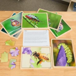 Excellerations® Mini Beast Puzzles - Set of 7