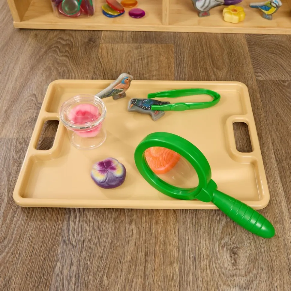 Excellerations® NatureForce™ Explore Study Kit - 4 pieces