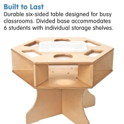 Excellerations® Science Activity Table 21