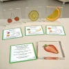 Excellerations® SpeciFun™ 4 Fruit Tile Specimens & Cards