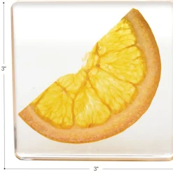 Excellerations® SpeciFun™ 4 Fruit Tile Specimens & Cards