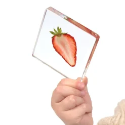 Excellerations® SpeciFun™ 4 Fruit Tile Specimens & Cards