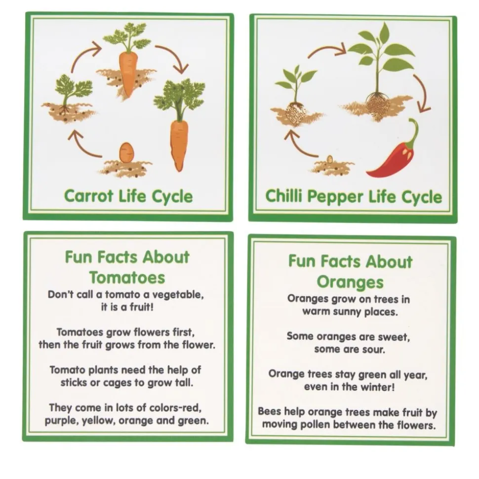 Excellerations® SpeciFun™ 4 Fruit + Vegetable Lifecycle Tiles & Cards