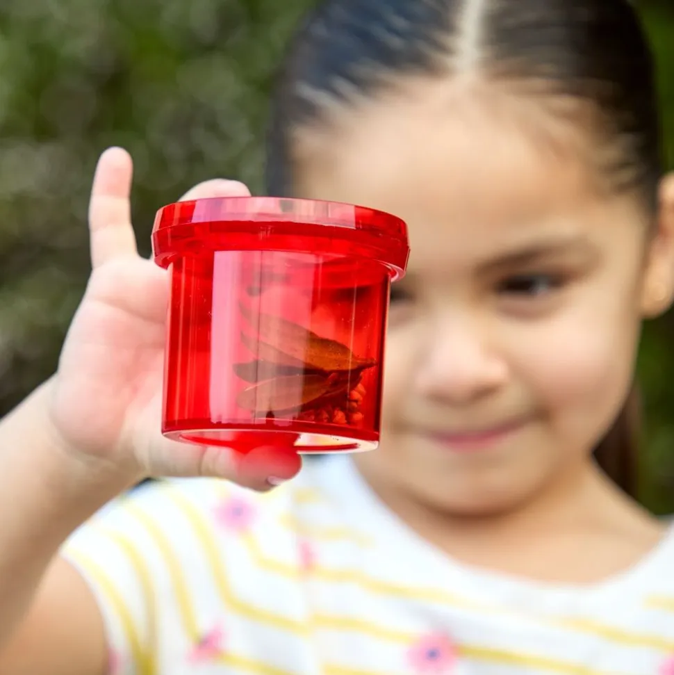 Excellerations® Translucent Magnifying Cups - Set of 6