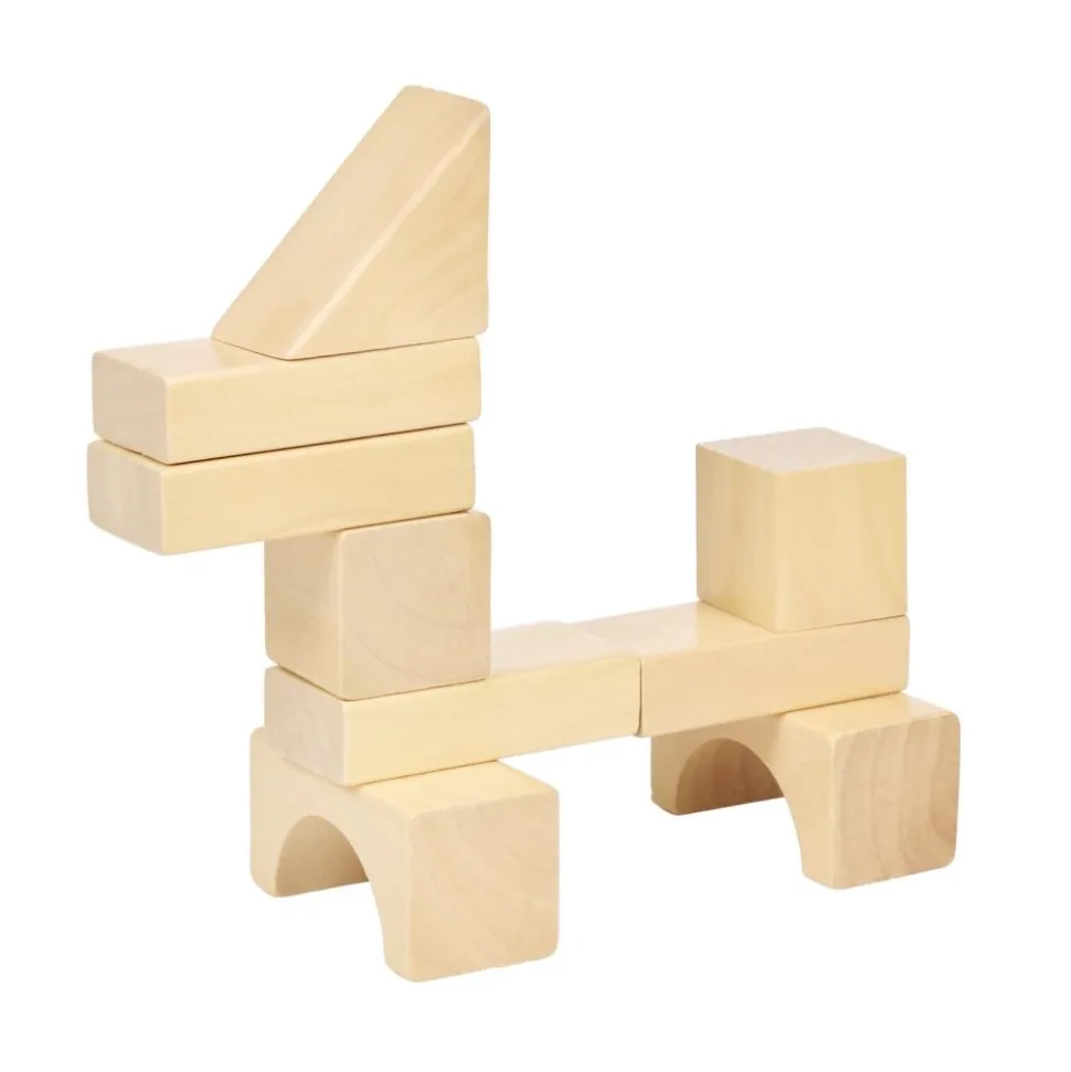 Excellerations® Wooden Building Blocks - Set of 50